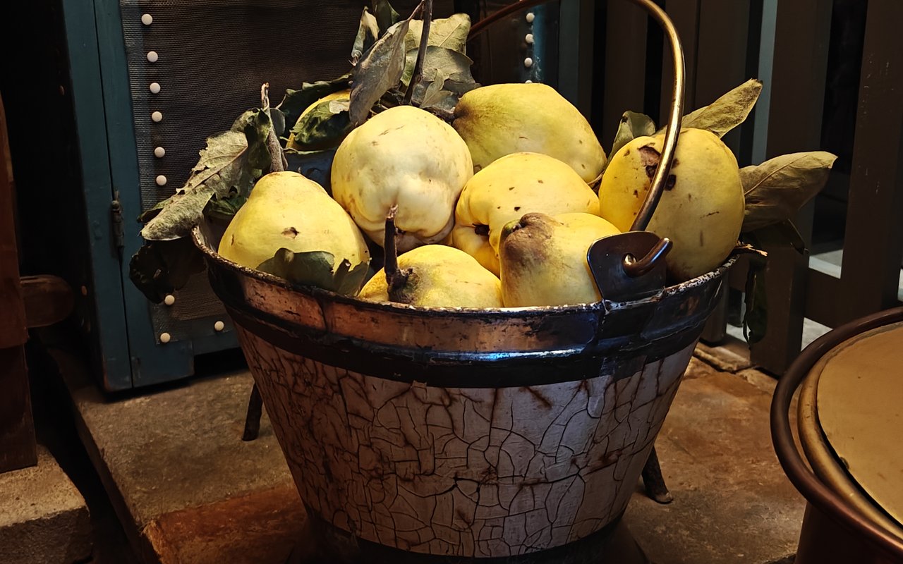 Kweeperen in de kelder van Huis Van Gijn - 2026