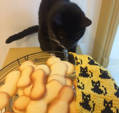 Op tafel staat een mandje met de koekjes 'kattentongen'. Een zwart katje ruikt eraan. Er ligt een geel lapje naast met zwarte katjes erin gebreid.