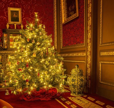 Een stralend verlichte kerstboom staat in een hoek van de kamer die behangen is met rood velours. Ernaast staat een vaas.