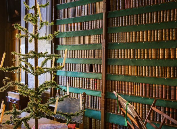 Met kaarsen verlichte kunstkerstboom staat voor de wand met boeken in de bibliotheek.