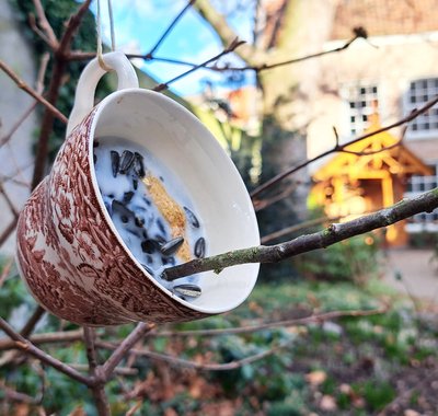 Workshop Vetbol in een kopje